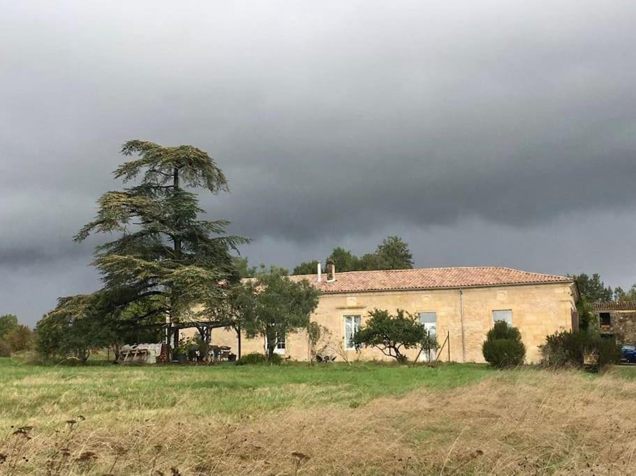 Beau Gite Dans Domaine Viticole & Arboricole Cursan Εξωτερικό φωτογραφία